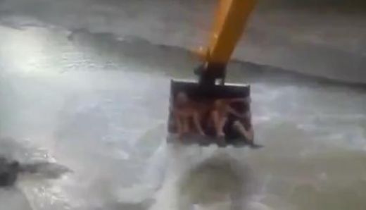 STULBUMA VIDEO: Jaunieši riskē ar dzīvību un pārvērš būvlaukumu atrakciju parkā