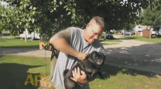 Smieklīgs VIDEO: Šis suns varētu būt Tasmānijas velns jeb virpuļu pavēlnieks