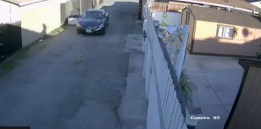 Briesmas! Novērošanas kamera pieķer ļaunu šoferi, kurš ar savu auto speciāli nobrauc suni