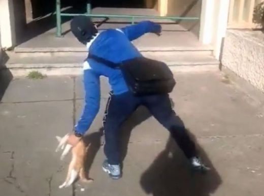 Vīrietim piespriež viena gada cietumsodu par nežēlīgu izturēšanos pret dzīvniekiem - VIDEO