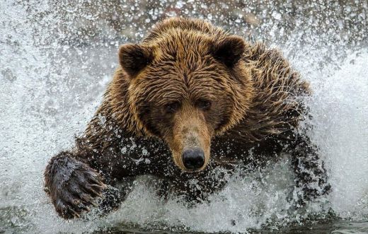 FOTO: Elpu aizraujoši! Vai esi novērtējis, cik skaista patiesībā ir mūsu pasaule?
