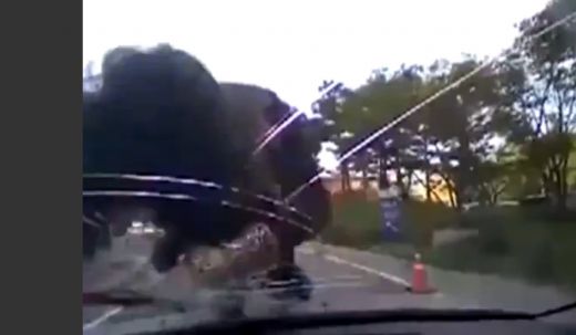 Šausmas!Vīrietis uzlec uz braucošas automašīnas un ar savu galvu saškaida tās stiklu - VIDEO