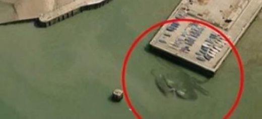 VIDEO: Kas tas ir? Britu ostā redzēts 15 metru liels mutantkrabis!