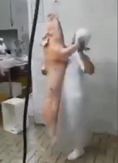 Smieklīgs VIDEO: Lūk, kas notiek, kad priekšnieks nepieskata darbiniekus