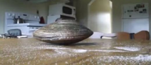 VIDEO: Uz virtuves galda atstāja kameru un gliemeni. Kas notika?