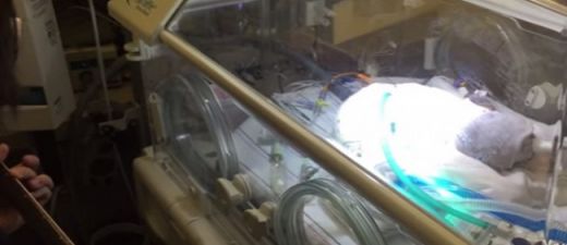 VIDEO: Sirdi plosoši… Tēvs dzied savam mirstošajam dēlam pēc sievas nāves…