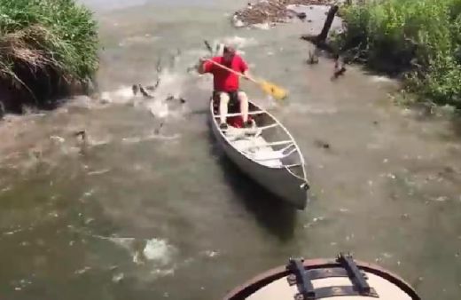 VIDEO: Šādu copi noteikti gribētu piedzīvot ikviens!